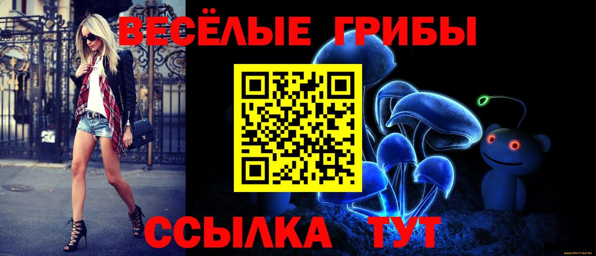 Галлюциногенные грибы Psilocybe  Вход с VPN  Саранск 